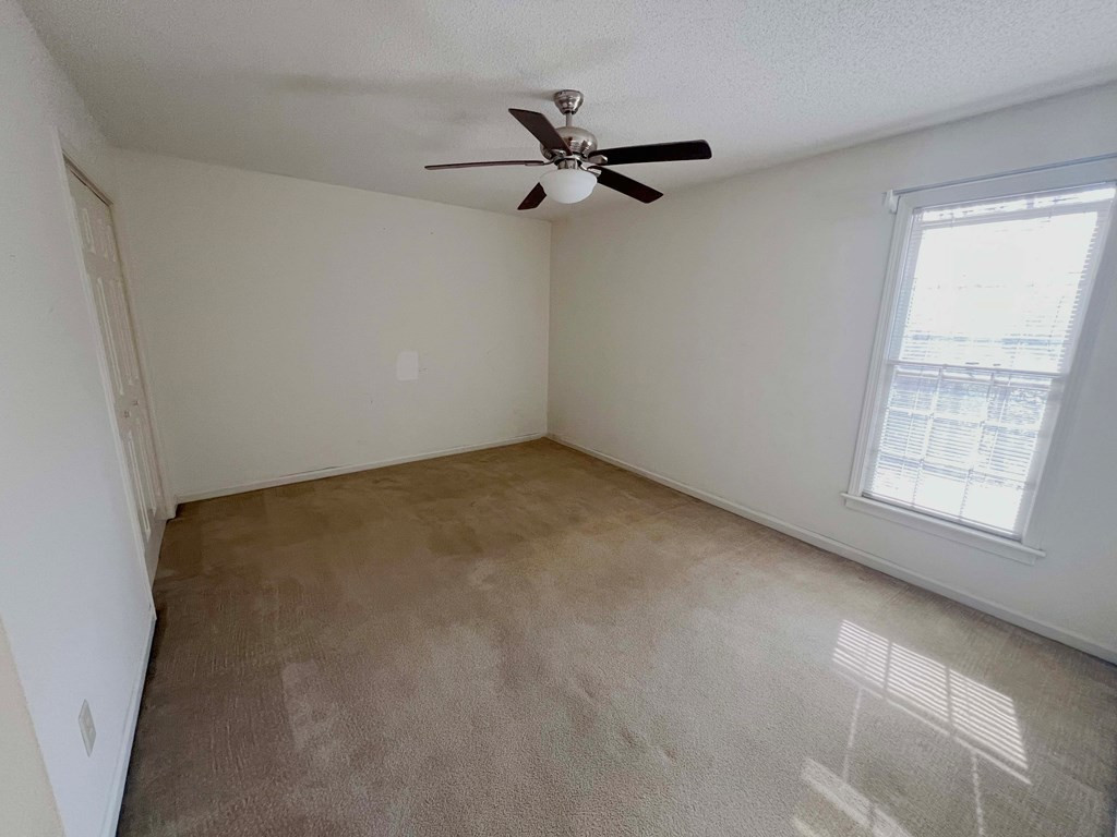 611 Timberleaf Court Columbia, SC 29212 - Photo 44 of 60