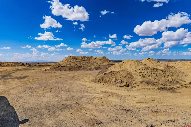 a view of a yard with an ocean