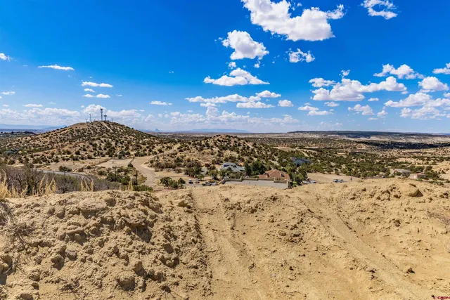 a view of a backyard of the house