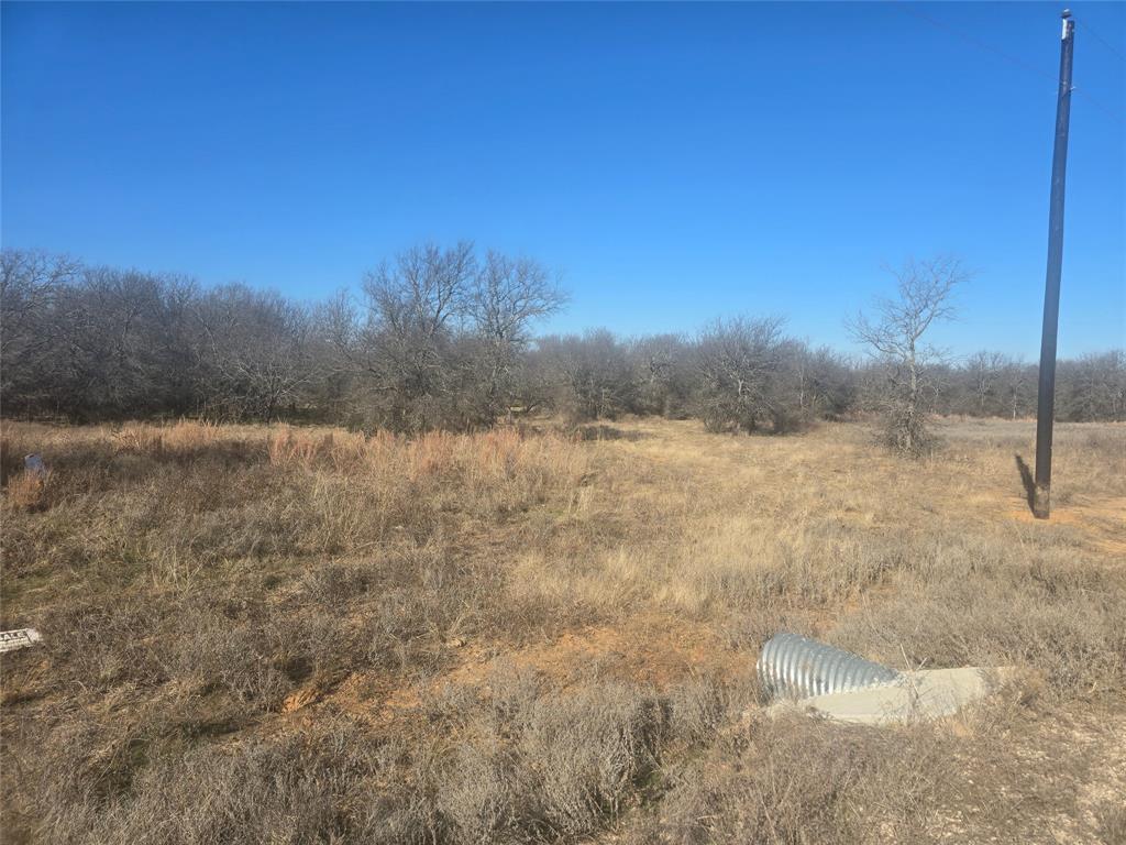 30 Oasis Court Perrin, TX 76486 - Photo 11 of 15 a view of a yard with a tree