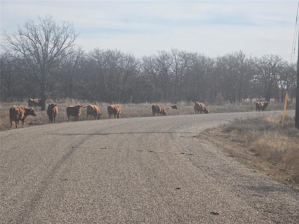 30 Oasis Court Perrin, TX 76486 - Photo 14 of 15 a view of terrace with trees