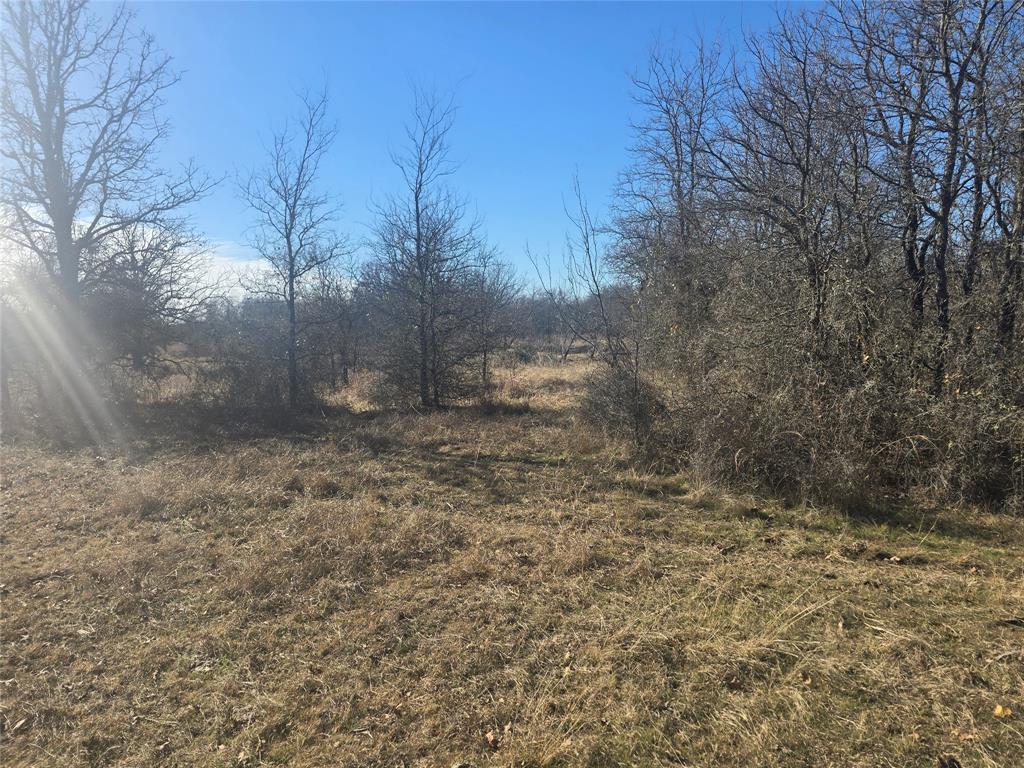 30 Oasis Court Perrin, TX 76486 - Photo 2 of 15 a view of a yard with trees