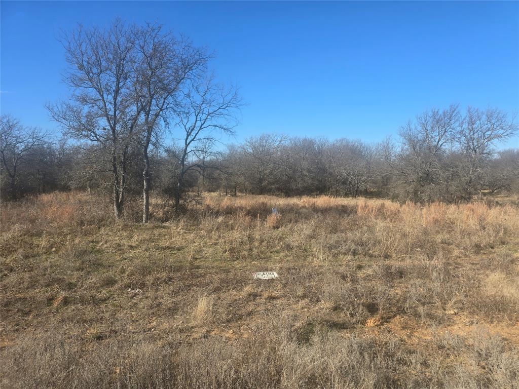 30 Oasis Court Perrin, TX 76486 - Photo 7 of 15 a view of a yard with trees in the background