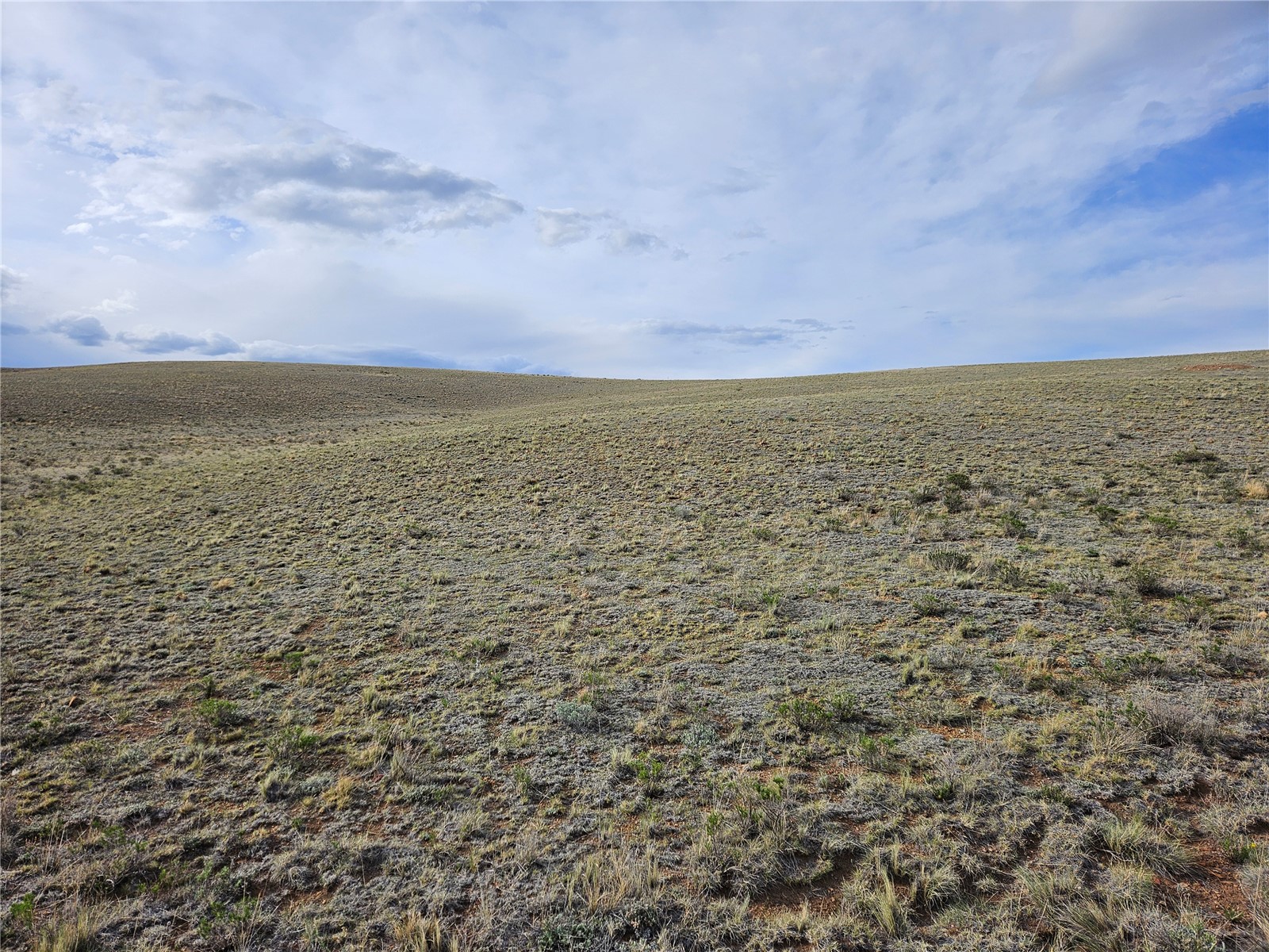 Pcs#24139 Antero Road Hartsel, CO 80449 - Photo 37 of 41
