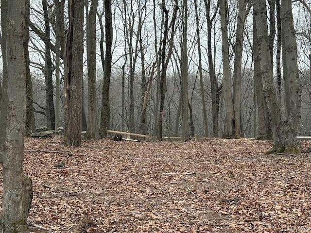 Lot 4 Lockwood Road South Salem, NY 10590 - Photo 11 of 15 a wooden fence covered with trees