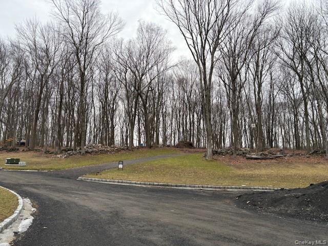 Lot 4 Lockwood Road South Salem, NY 10590 - Photo 13 of 15 a view of a park with large trees