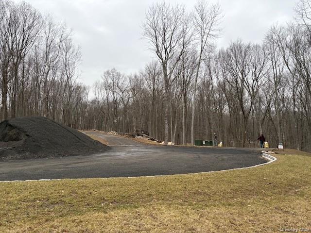 Lot 4 Lockwood Road South Salem, NY 10590 - Photo 14 of 15 a view of road with large trees