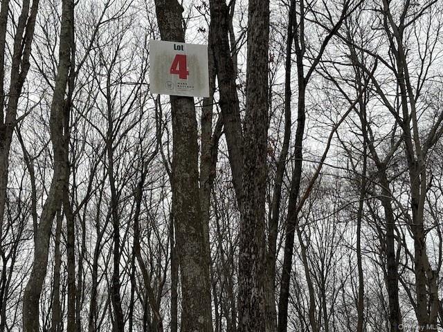 Lot 4 Lockwood Road South Salem, NY 10590 - Photo 5 of 15 a flag is sitting in the middle of a forest
