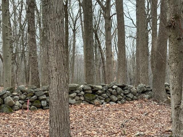 Lot 4 Lockwood Road South Salem, NY 10590 - Photo 7 of 15 a view of a yard with wooden fence