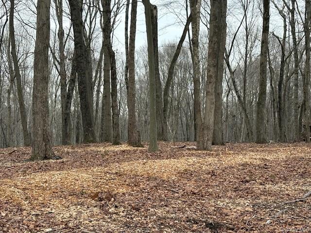Lot 4 Lockwood Road South Salem, NY 10590 - Photo 9 of 15 a view of large trees with lots of trees