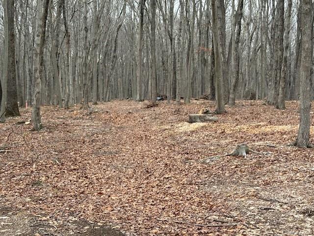 Lot 4 Lockwood Road South Salem, NY 10590 - Photo 10 of 15 a view of wooden fence