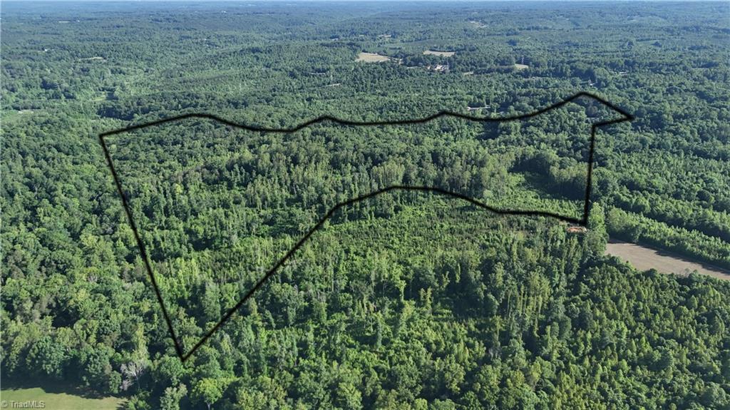 0 Nubbin Ridge Road Reidsville, NC 27320 - Photo 2 of 13