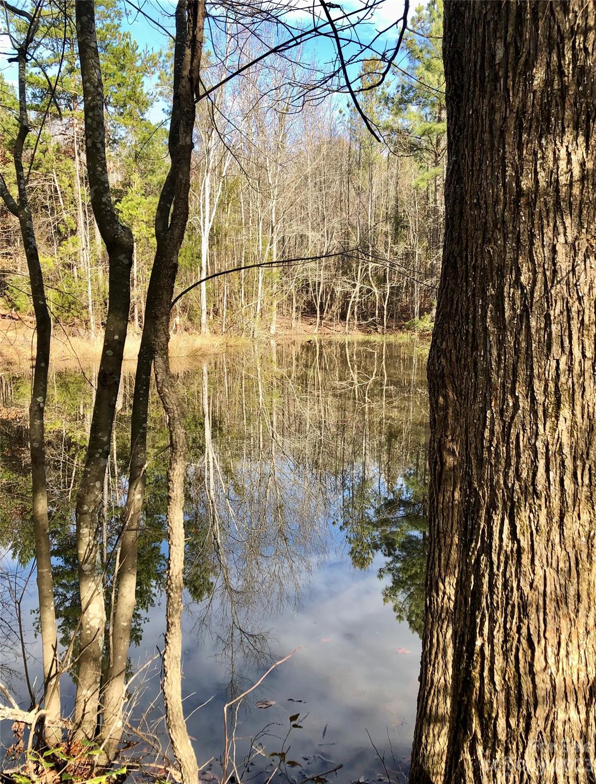 619 Lost Rabbit Run, Unit 1 Fort Mill, SC 29715 - Photo 3 of 5 Gallery Image 3