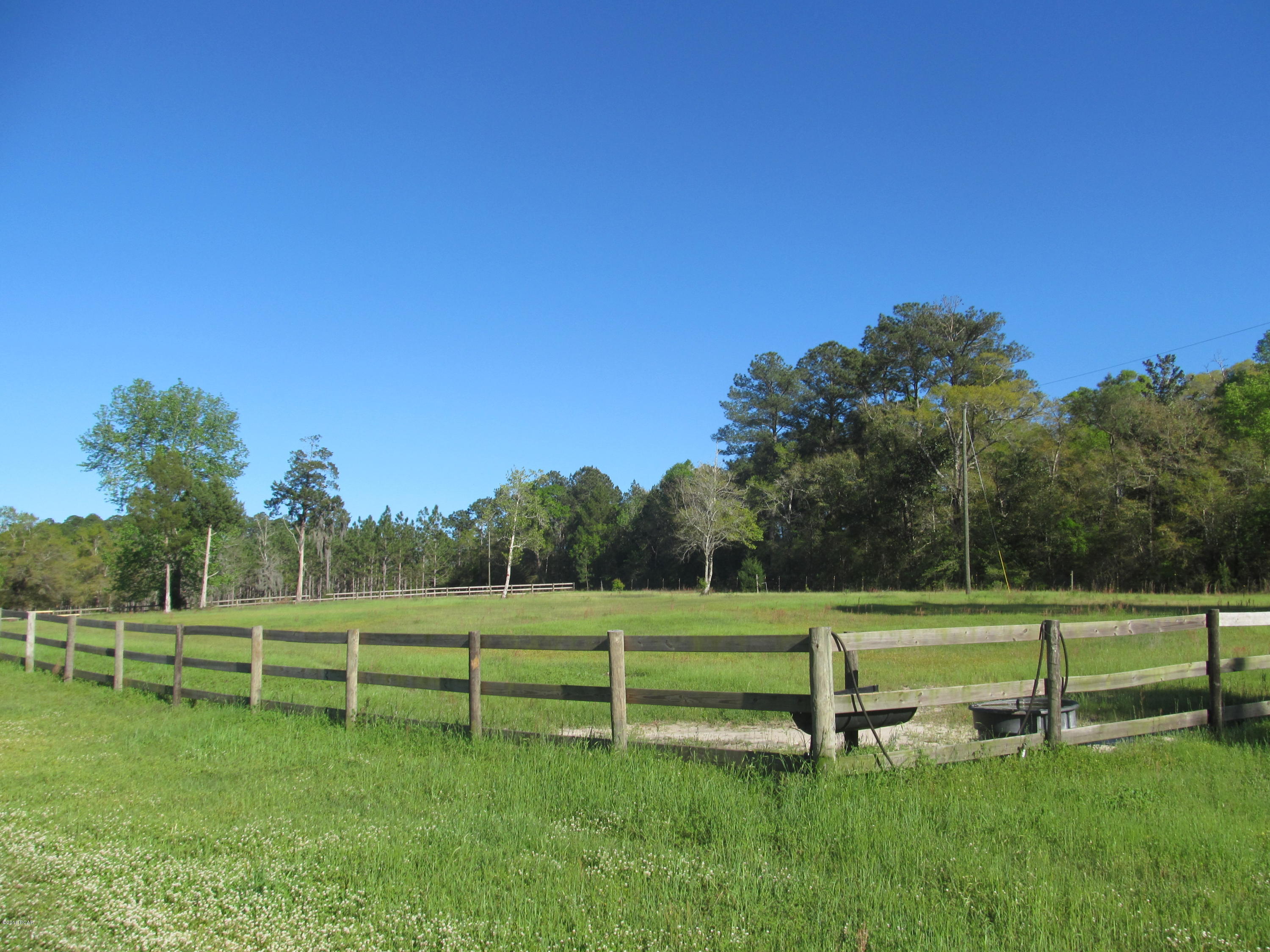 3350 Bonnett Pond Road Chipley, FL 32428 - Photo 16 of 35 Gallery Image 16