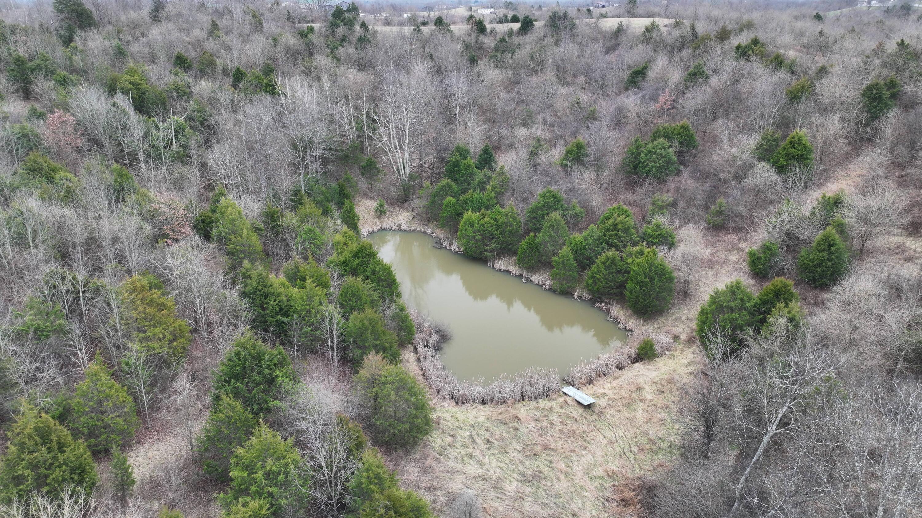 6600 Georgetown Road Owenton, KY 40359 - Photo 15 of 24 Gallery Image 15