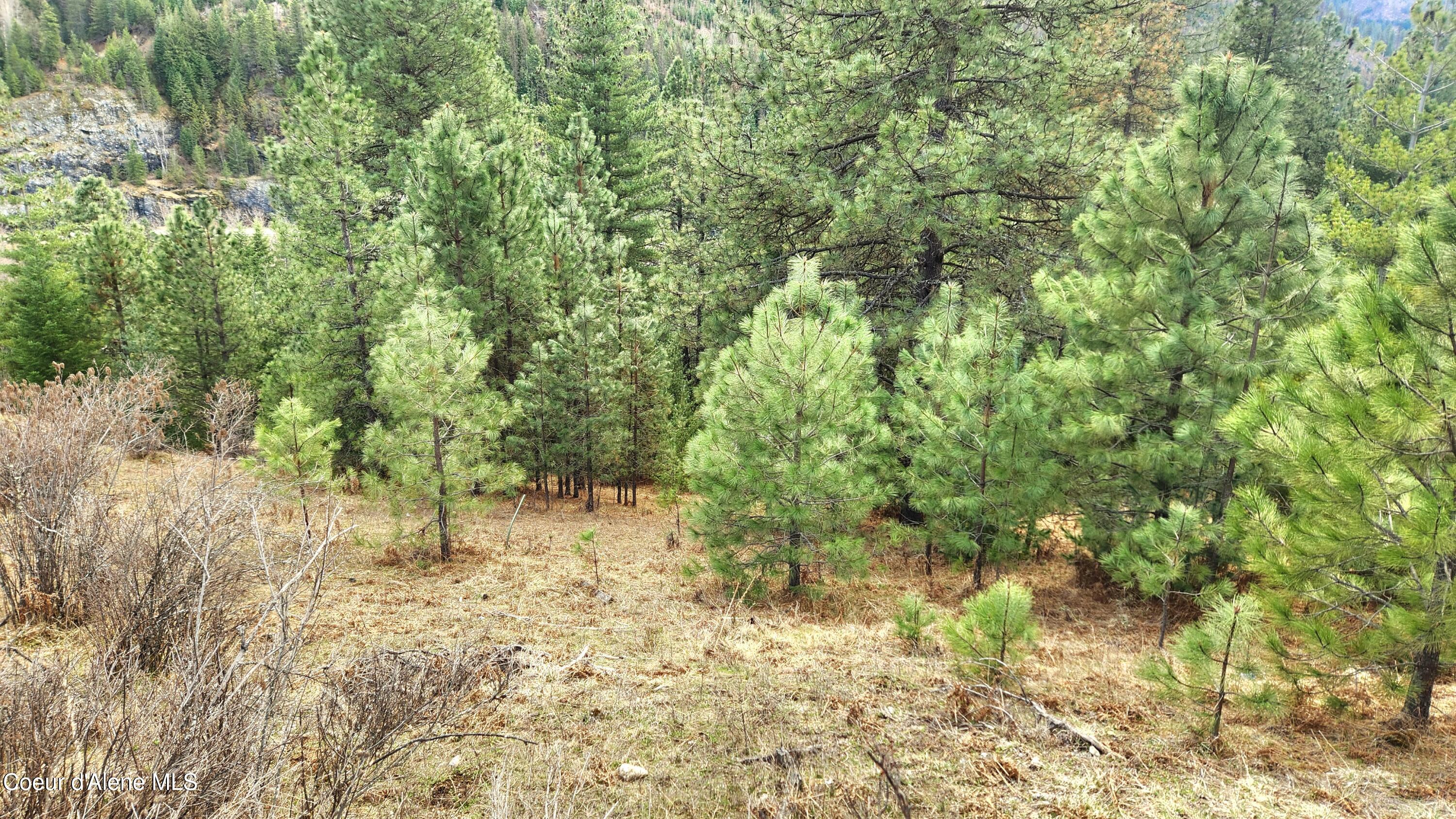 Nka Nka Milwaukee Road Calder, ID 83808 - Photo 11 of 28 20250327_153559