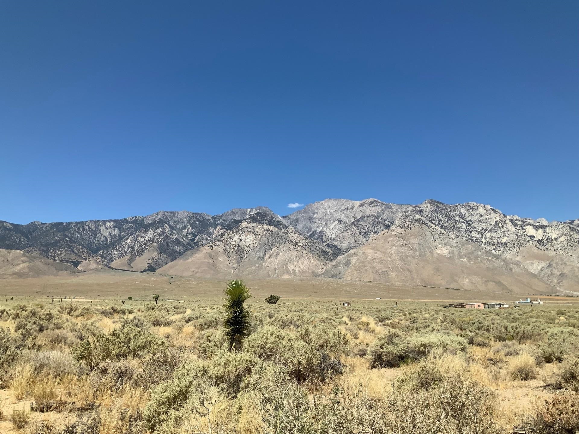 395 & Walker Road Olancha, CA 93549 - Photo 2 of 7