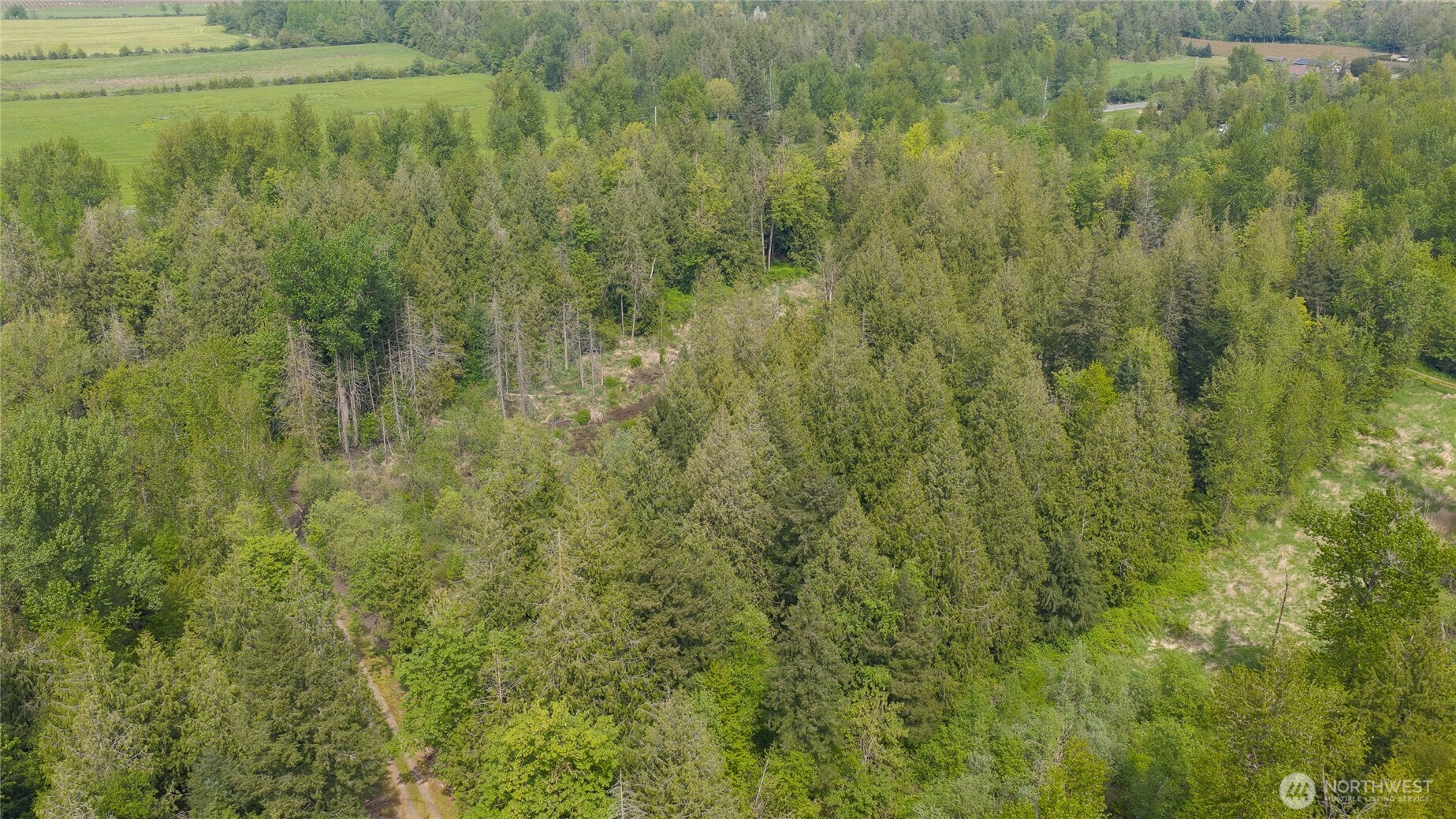 2165 East Badger Road Everson, WA 98247 - Photo 5 of 20 Gallery Image 5