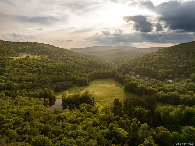 $1,250,000 | 600 Jeffersonville North Branch Road, North Branch, NY 12766