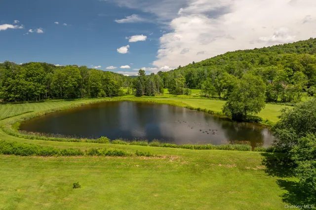 $1,250,000 | 600 Jeffersonville North Branch Road, North Branch, NY 12766