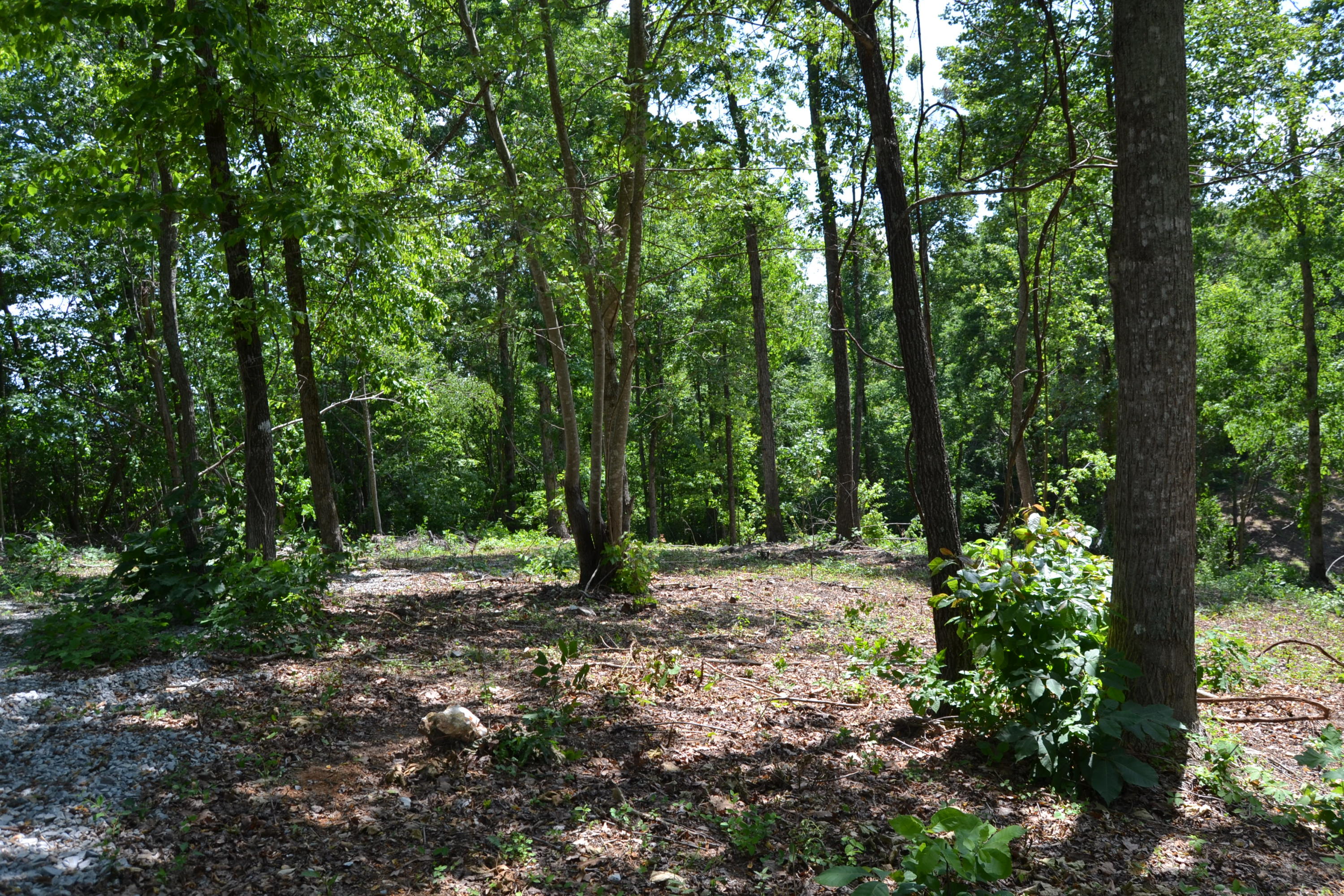Lot 4.1