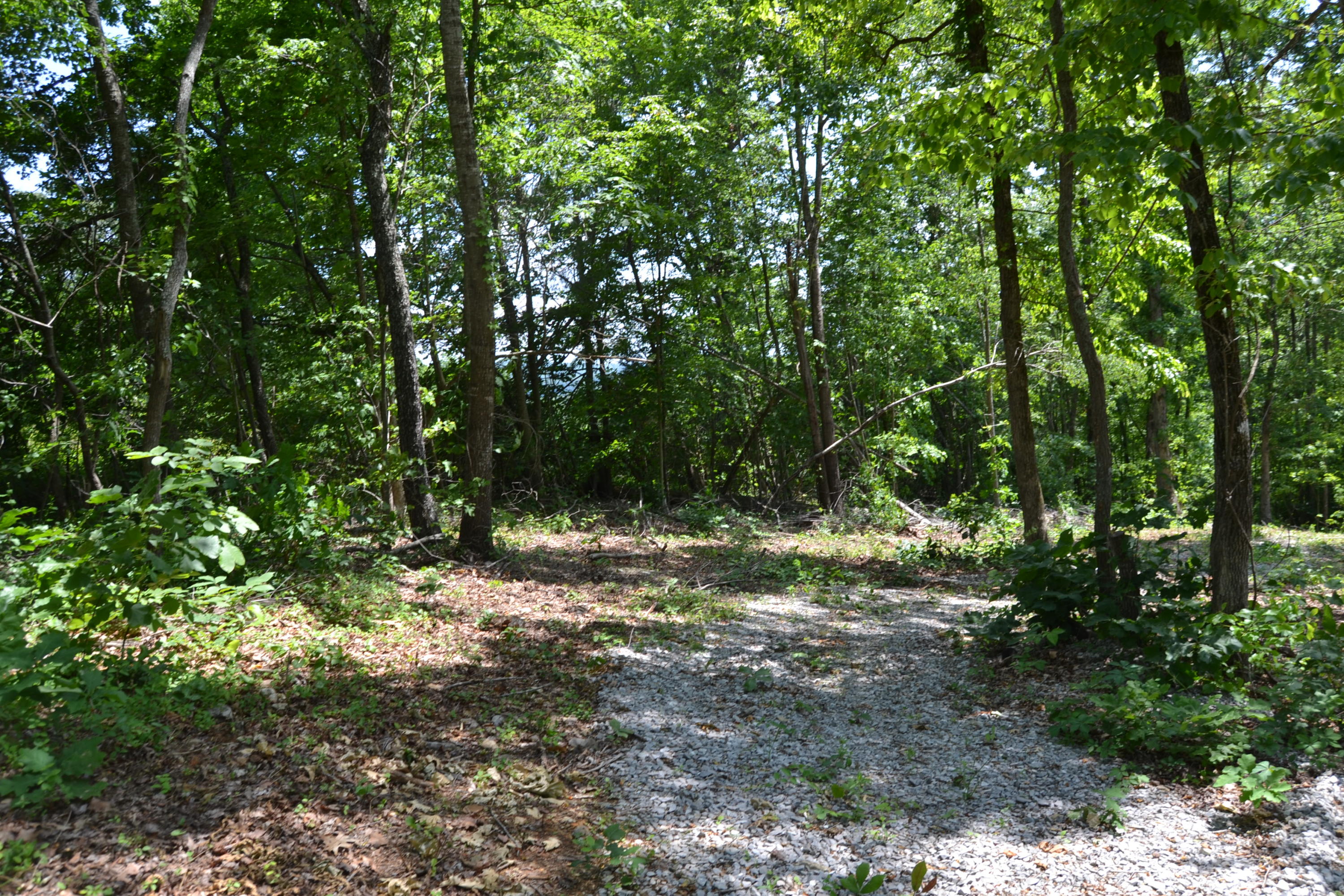 Lake Shore Drive Rutledge, TN 37861 - Photo 2 of 8 Lot 4.2