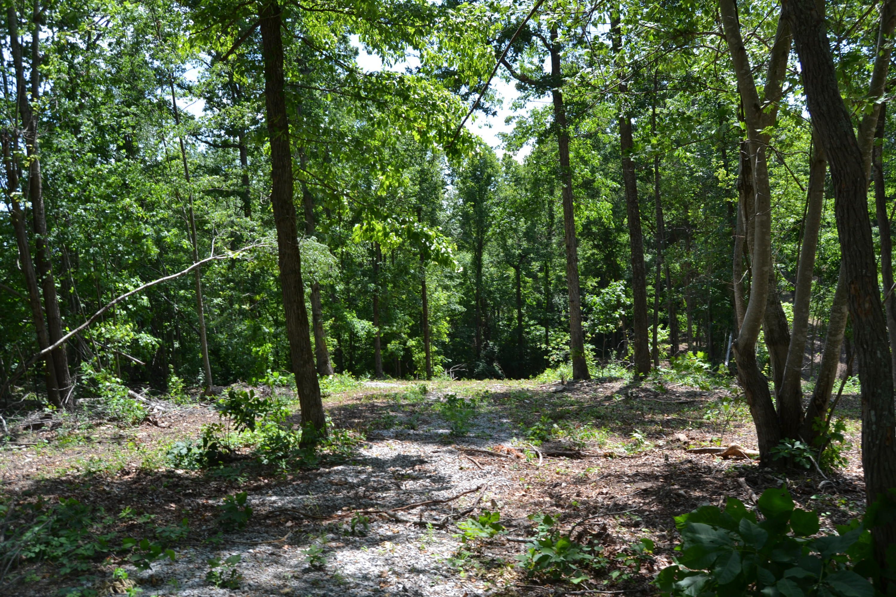 Lake Shore Drive Rutledge, TN 37861 - Photo 3 of 8 Lot 4.3