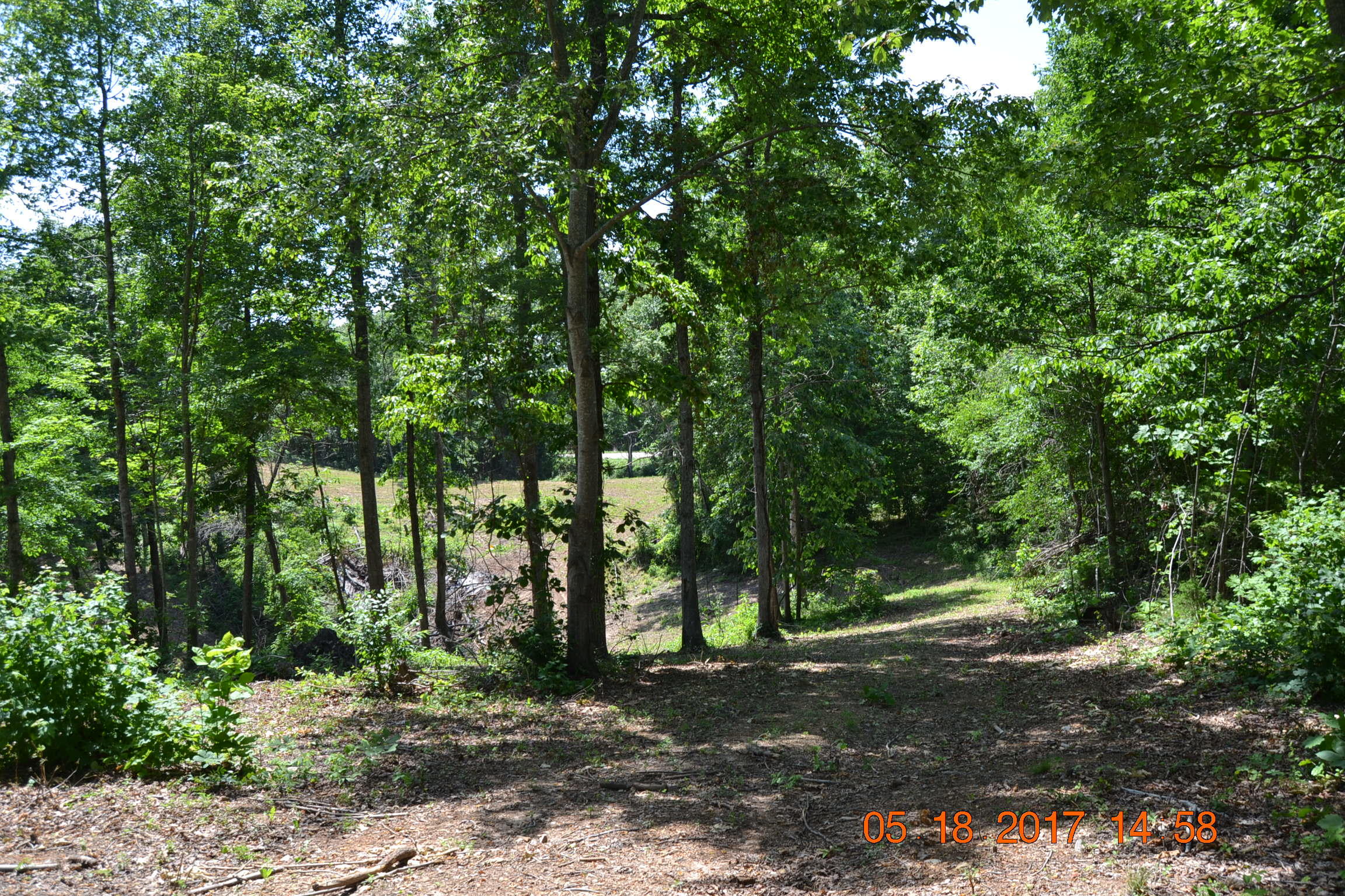 Lake Shore Drive Rutledge, TN 37861 - Photo 4 of 8 Lot 4.4