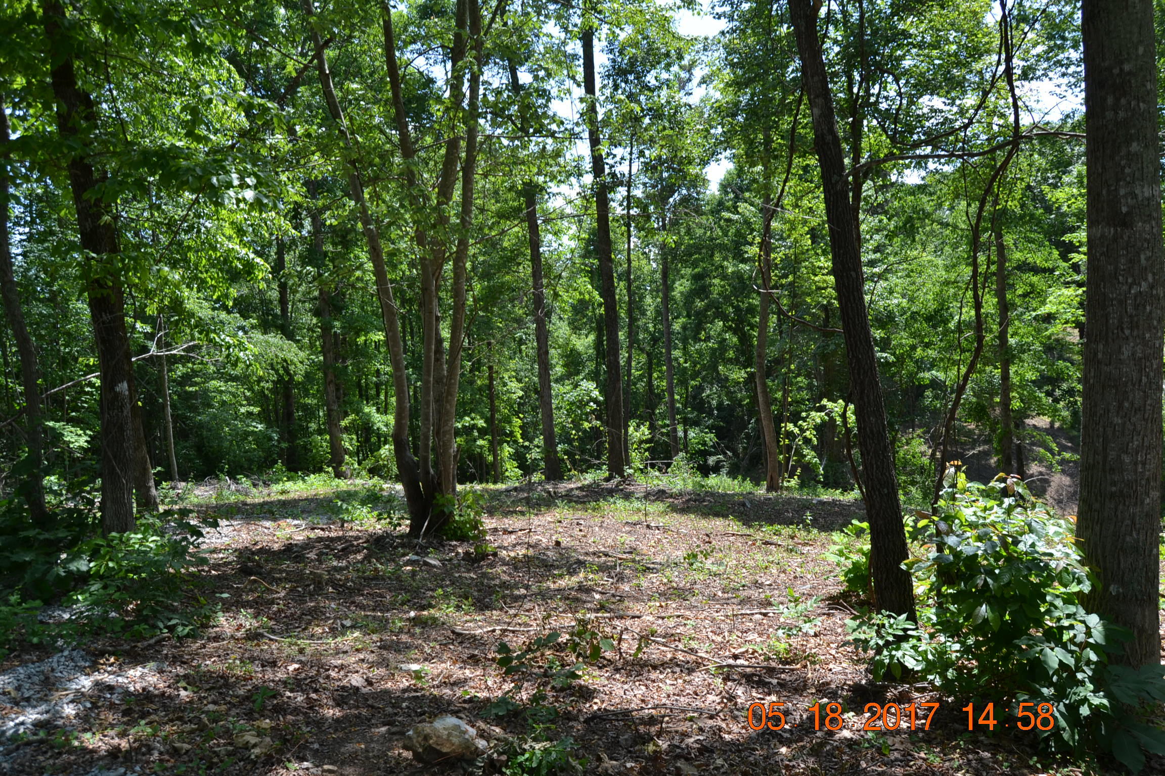 Lake Shore Drive Rutledge, TN 37861 - Photo 5 of 8 Lot 4.5