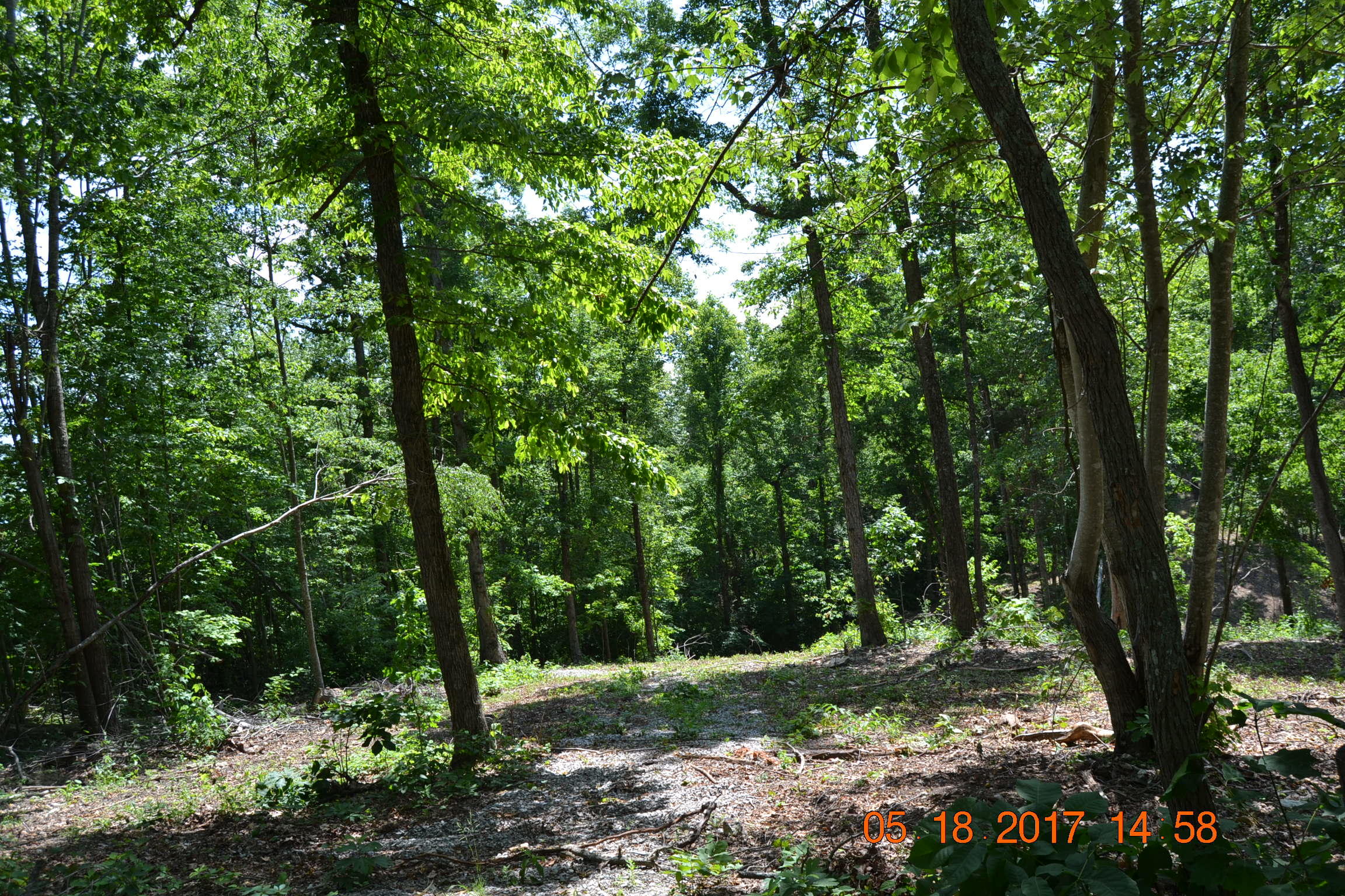 Lake Shore Drive Rutledge, TN 37861 - Photo 6 of 8 Lot 4.6