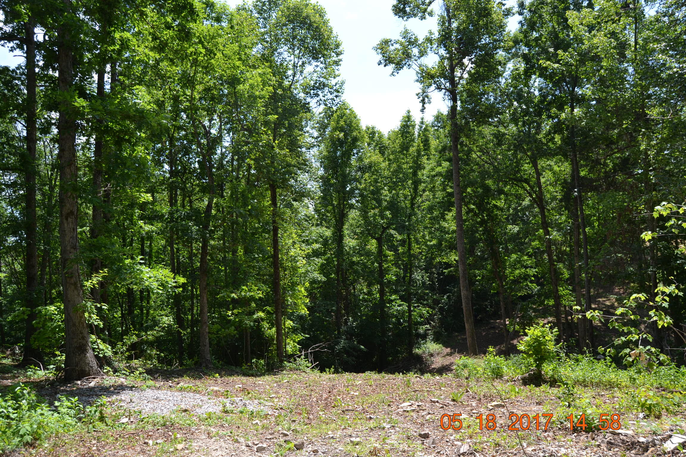 Lake Shore Drive Rutledge, TN 37861 - Photo 7 of 8 Lot 4.7
