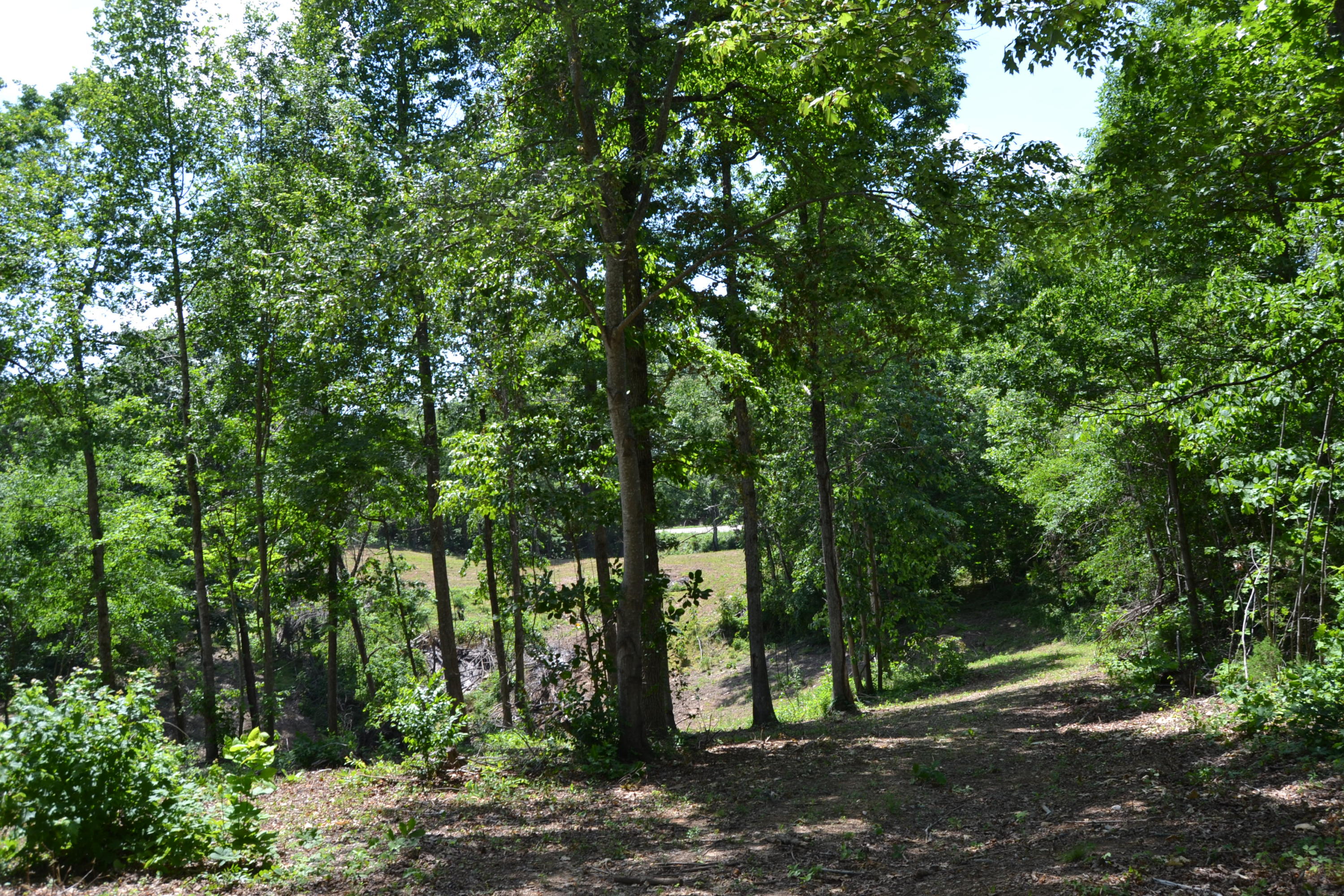 Lake Shore Drive Rutledge, TN 37861 - Photo 8 of 8 Lot 4