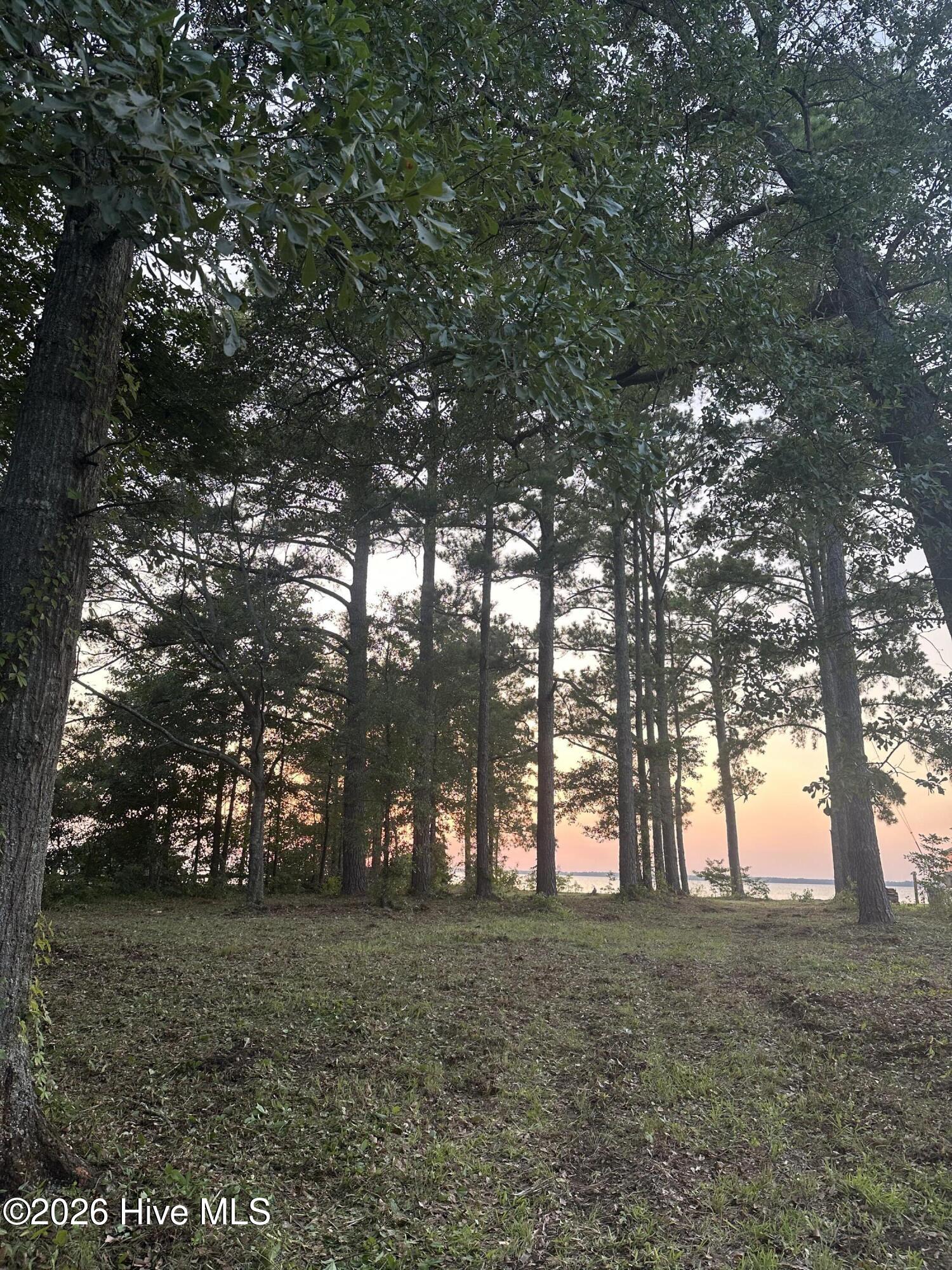 Lot 2 Newberry Landing Roper, NC 27970 - Photo 4 of 9
