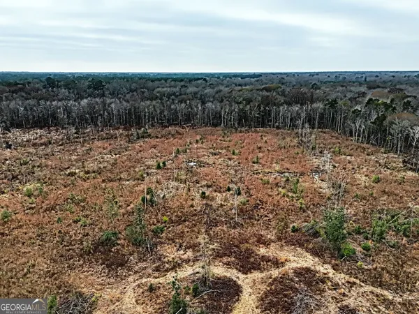 $1,115,220 | 0 Eagle Pond / Old Smithville Road, Smithville, GA 31787