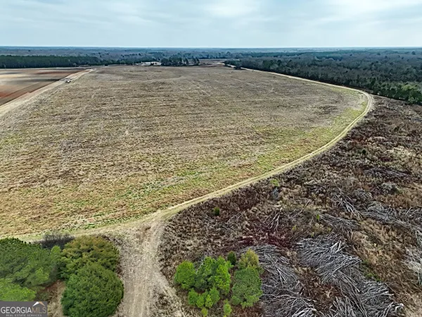 $1,115,220 | 0 Eagle Pond / Old Smithville Road, Smithville, GA 31787