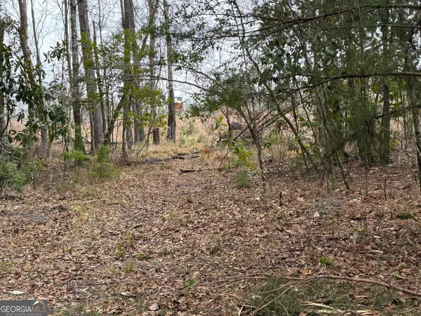 $1,115,220 | 0 Eagle Pond / Old Smithville Road, Smithville, GA 31787