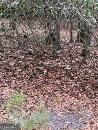 $1,115,220 | 0 Eagle Pond / Old Smithville Road, Smithville, GA 31787