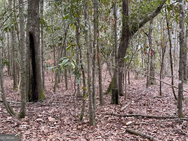 $1,115,220 | 0 Eagle Pond / Old Smithville Road, Smithville, GA 31787