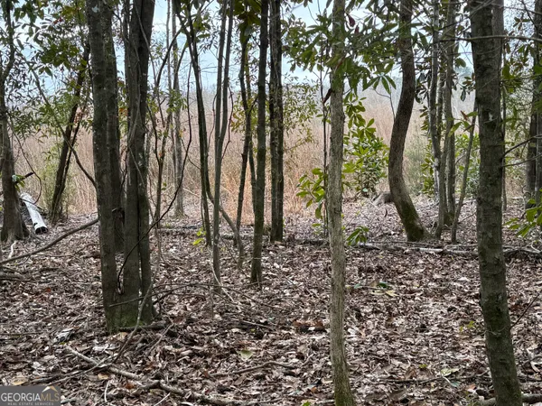 $1,115,220 | 0 Eagle Pond / Old Smithville Road, Smithville, GA 31787