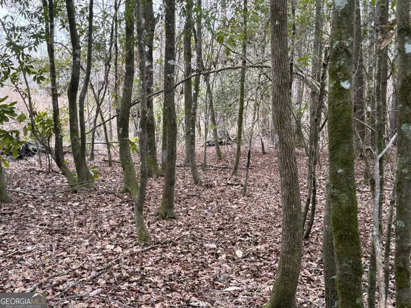 $1,115,220 | 0 Eagle Pond / Old Smithville Road, Smithville, GA 31787