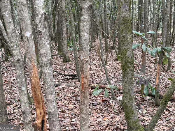 $1,115,220 | 0 Eagle Pond / Old Smithville Road, Smithville, GA 31787