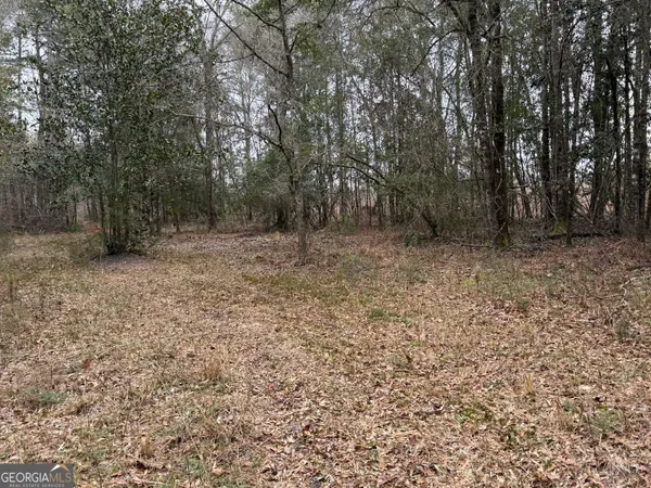 $1,115,220 | 0 Eagle Pond / Old Smithville Road, Smithville, GA 31787