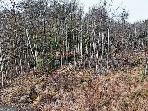 $1,115,220 | 0 Eagle Pond / Old Smithville Road, Smithville, GA 31787