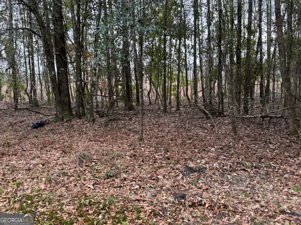 $1,115,220 | 0 Eagle Pond / Old Smithville Road, Smithville, GA 31787