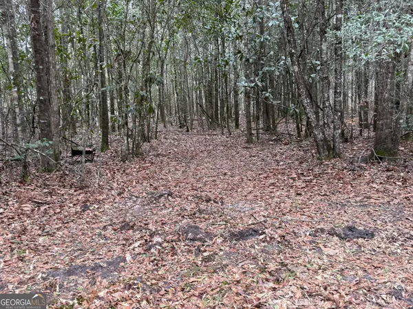 $1,115,220 | 0 Eagle Pond / Old Smithville Road, Smithville, GA 31787