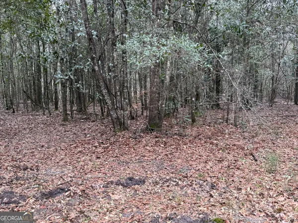 $1,115,220 | 0 Eagle Pond / Old Smithville Road, Smithville, GA 31787