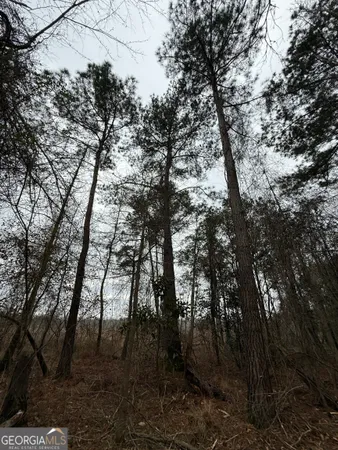 $1,115,220 | 0 Eagle Pond / Old Smithville Road, Smithville, GA 31787