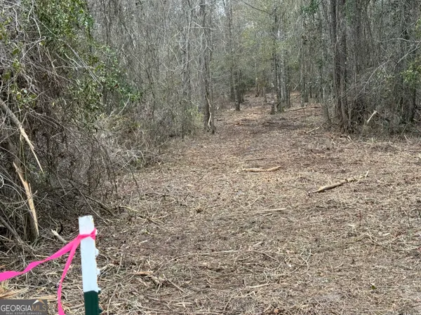 $1,115,220 | 0 Eagle Pond / Old Smithville Road, Smithville, GA 31787