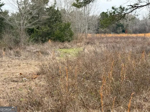 $1,115,220 | 0 Eagle Pond / Old Smithville Road, Smithville, GA 31787