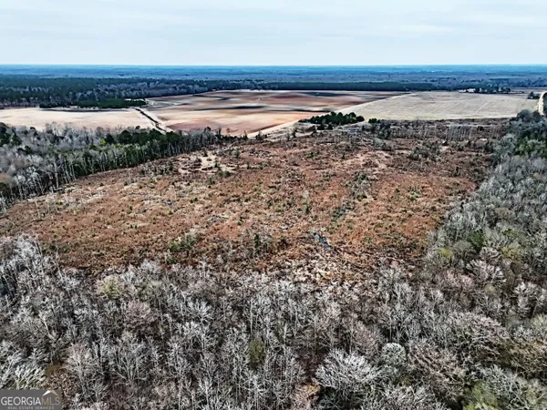 $1,115,220 | 0 Eagle Pond / Old Smithville Road, Smithville, GA 31787